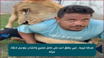 صدقة غريبة.. ليبي يطلق أسد على عامل مصري والشاب يتوسل لإنقاذ حياته